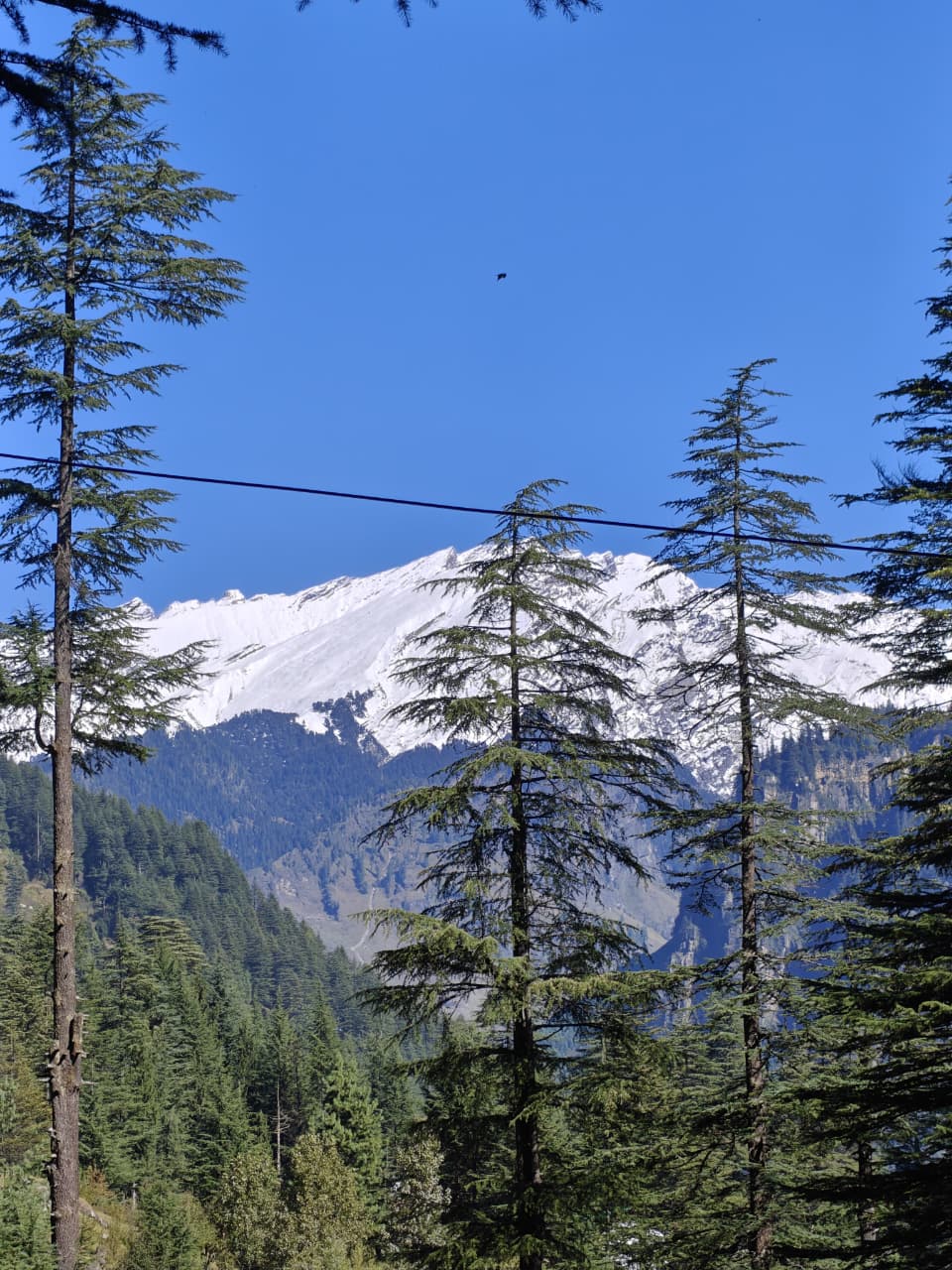 Breathtaking mountain landscape of Manali with snow-capped Himalayan peaks and lush green valleys